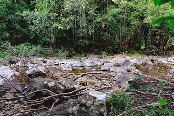 Thai dark tropical forest and rapid mountain river in Mu Koh Chang National Park, Chang island, Thailand. Path to the Khlong Phlu waterfall is littered with dry branches. Natural background.