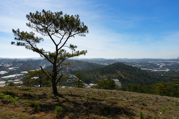 hilltop mountain view