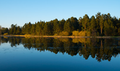 Calm sunset on the lake with calm water and forest on background with horizon in the middle of frame
