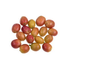 Coffee Beans Yellow and Half-ripe