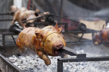 Traditionally suckling pig on a rotating spit