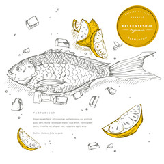 Family generation, illustratuion people .