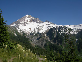 Mt. Hood, Oregon