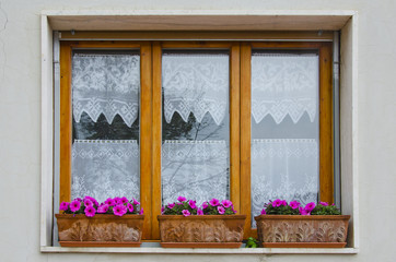 Window with Flower Boxes in Vinci, Italy