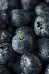 Raw Organic Healthy Blueberries