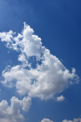 Naklejka na ściany i meble 青空と雲「空想・雲モンスター（エンゼルフィッシュ・熱大魚のイメージ、また、左向き方向では、鼻の大きい天狗にも見える）」泳ぐ、立ち向かう、進行、仲間、天狗、傲慢などのイメージ