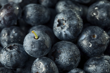 Raw Organic Healthy Blueberries
