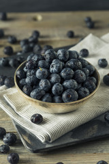 Raw Organic Healthy Blueberries