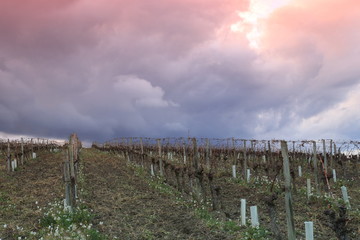 Fototapeta na wymiar Coucher de soleil sur des champs cultivés dans l'Aude, Occitanie dans le sud de la France