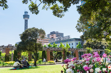 横浜　山下公園　中央広場