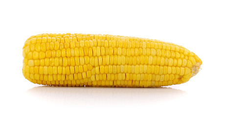 corn on white background