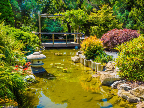 Japanese garden design with water stream and bridge