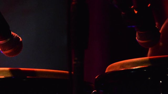 Hitting the conga drums