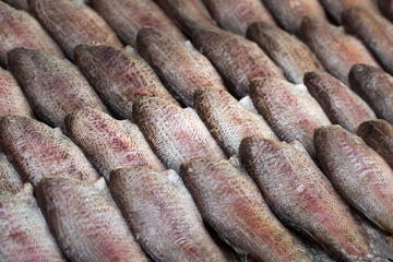 Sun-dried fish