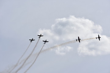 Albion Park, Australia - May 6, 2017. Display of Russian Roolettes Formation Team. Wings Over Illawarra is an annual air show held at Illawarra Regional Airport.