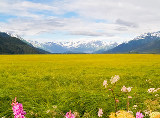 Obraz premium Wetland surrounded by distant snow covered mountains Alaska.