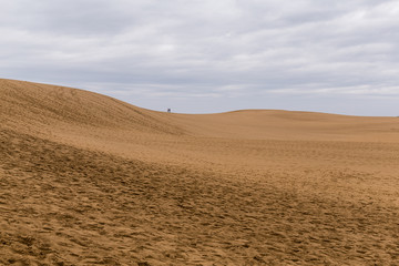 Fototapeta na wymiar Tottori Dunes in Japan
