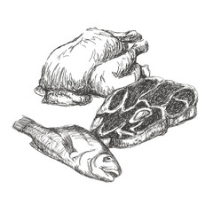 meat hand drawn collection. set of different kinds of meat. vector illustration