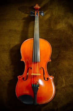 バイオリン・ヴィオラ
