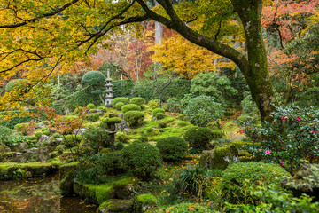 Fototapety  Ogród japoński z jesiennym klonem