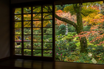 Japanese house with autumn landscape