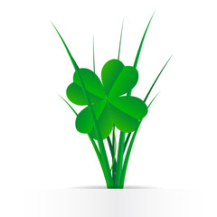 Clover leaves in the grass