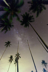 Scenery of milky way in the middle of night and coconut trees view at Kg. Jambu Bongkok, Marang Terengganu ( Visible noise due to high ISO, soft focus, shallow DOF and slight motion blur )