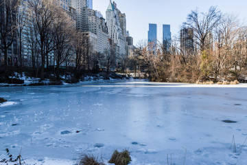 Frozen lake in Central Park