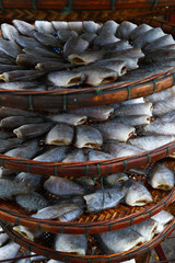 Stack of dried Skin Gourami Fish (Pla salit fish or Sepat siam) in Thailand local fish market