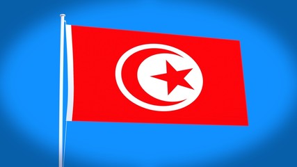 the national flag of Tunisia