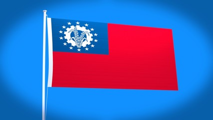 the national flag of Myanmar