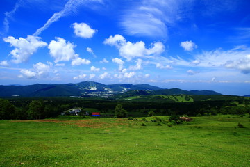 Fototapeta na wymiar 長野県の広大な草原