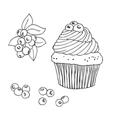 vector contour illustration of blueberry cupcake