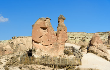 Camel Rock in Devrent Valley at Cappadocia. Turkey