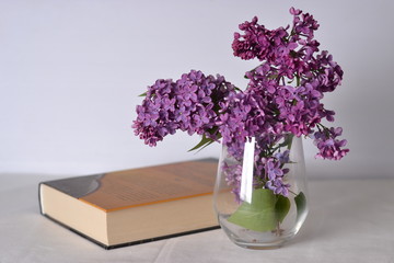 Branch of lilac and a book on a white background.