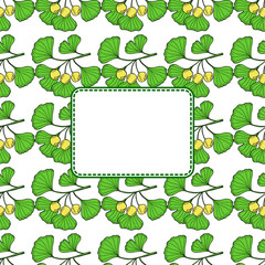 Ginkgo Biloba plant, leaf, branch, berry. Square banner, medicinal plant. Hand drawn sketch illustration in color. 