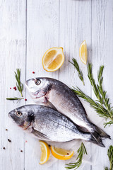 Fresh raw fish dorado