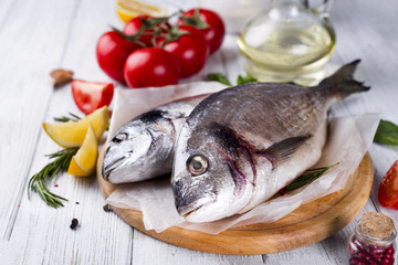 Fresh raw fish dorado