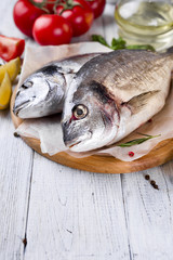 Fresh raw fish dorado