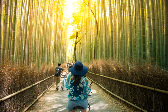 Fototapeta Tourist is cycling for sightseeing at Arashiyama bamboo forest in Kyoto, Japan.