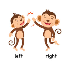 Opposite words left and right vector