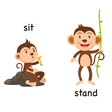 Opposite words sit and stand vector