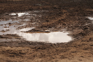 sticky mud and puddles