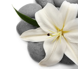 Fototapeta na wymiar Spa stones and lily on white background