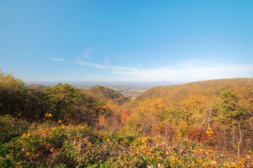 The mountain colorful autumn landscape.