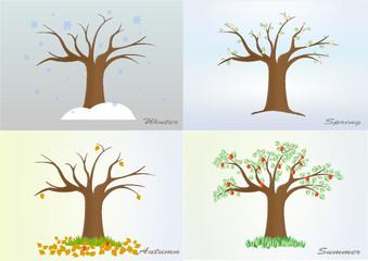 four seasons tree winter, spring, summer, autumn, vector, horizontal