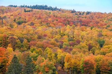 Fototapeta premium The mountain colorful autumn landscape.