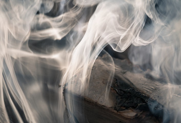 Close up from smoking campfire.