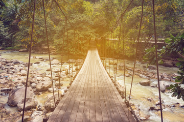 Rope bridge across the river in the forest