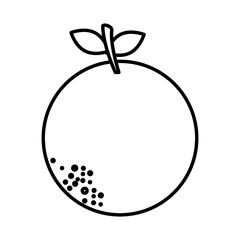 orange fruit fresh icon vector illustration design